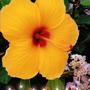 Meet your Posher, Jaden